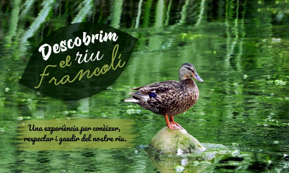 Descobrim el riu Francolí