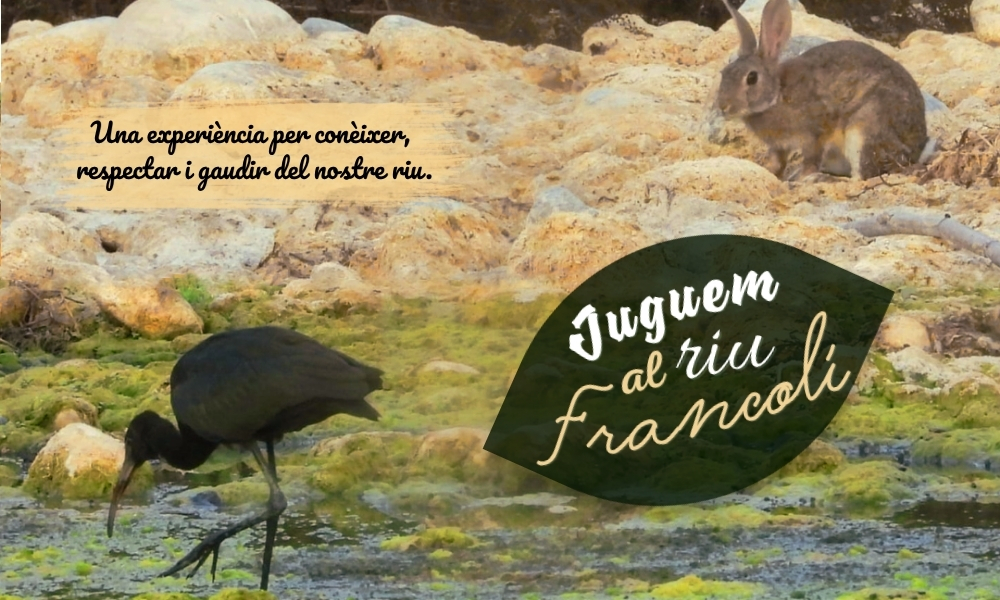 Juguem al riu Francolí