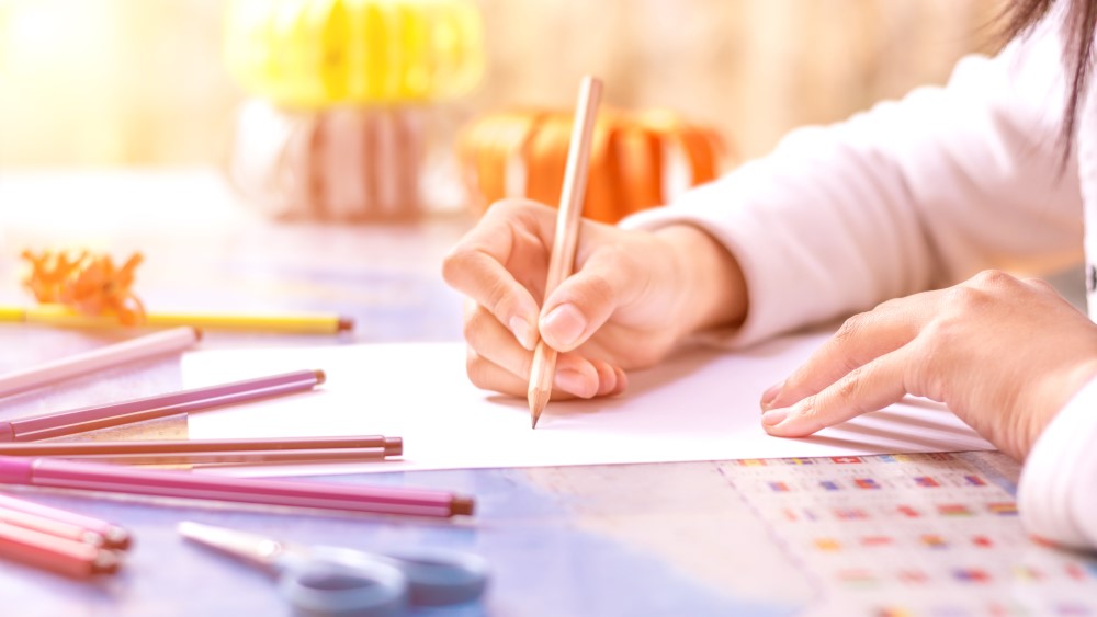 Tallers de suport i acompanyament educatiu - TSAE