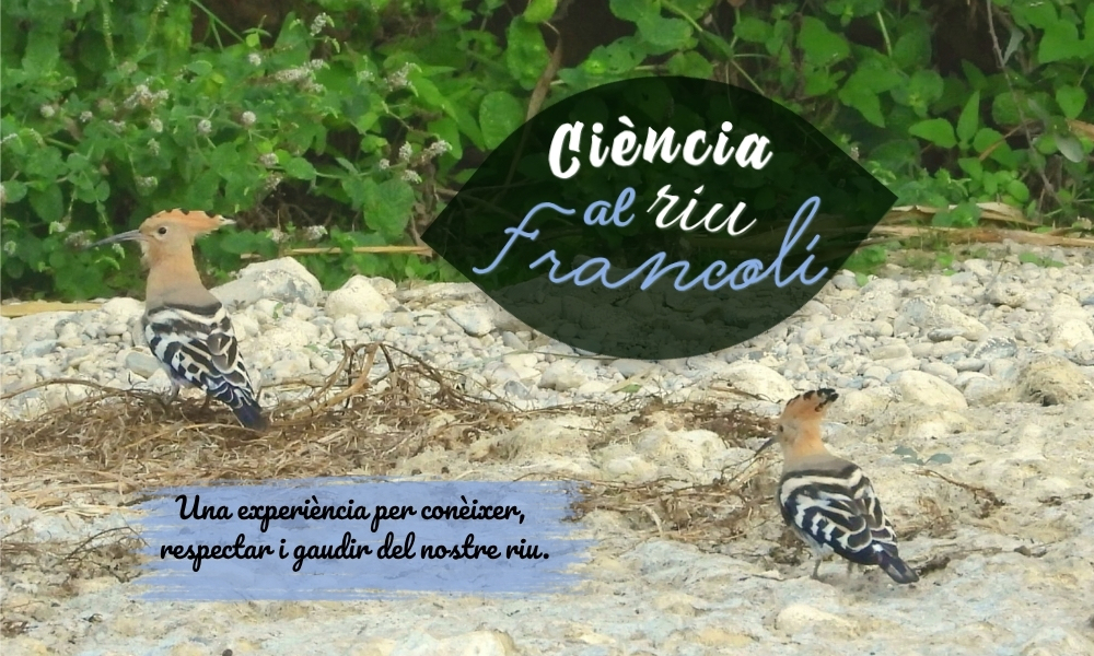 Ciència al riu Francolí